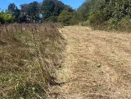 terre agricole