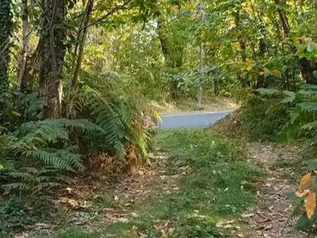 parcelle de bois non constructible zone naturelle