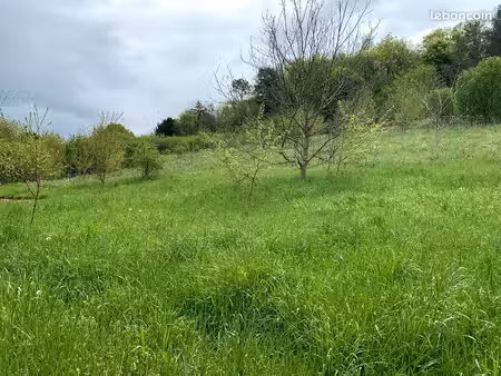 terrain constructible