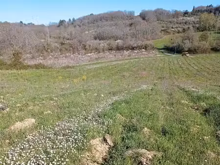 terrain agricole