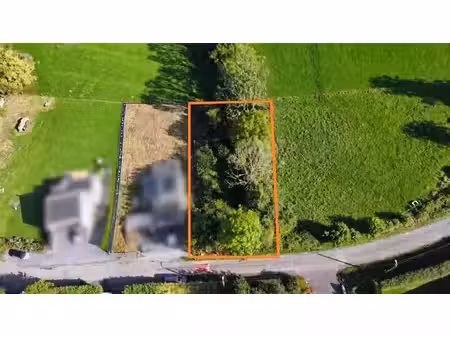 terrain