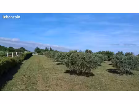 terrain de loisirs et agricole