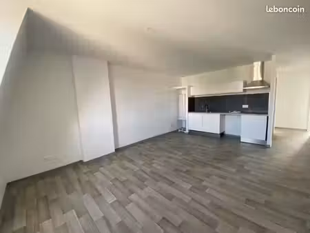 appartement t3 rénové en hypercentre