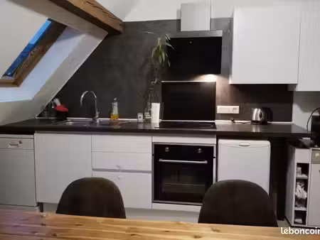 charmant 3p meublé 70m² au sol et 47m² carrez