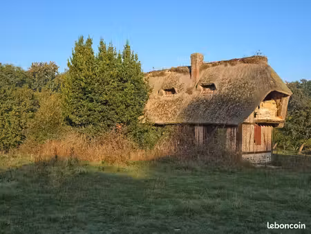 maison 3 pièces 50 m²