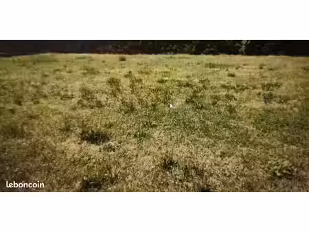 terrain 1 103 m² mandeville