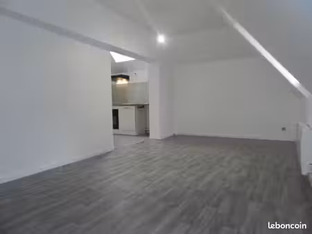 appartement t2 60m2 centre ville