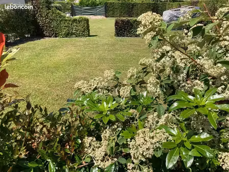 terrain constructible