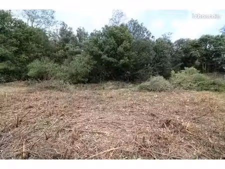 terrain 400 m² plantiers