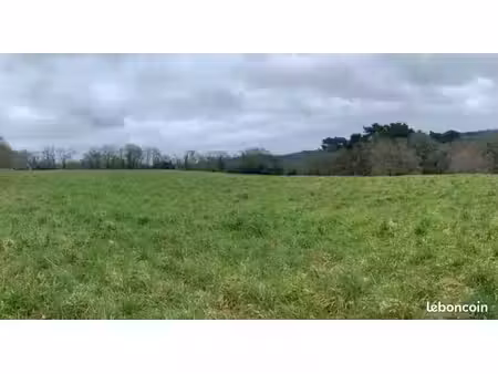 terrain 385 m² ergue gaberic