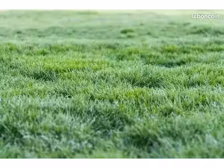 terrain 890 m² plougar