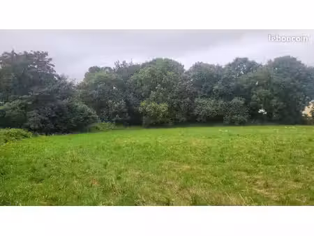terrain 459 m² taule
