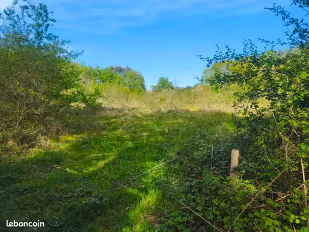terrain agricole