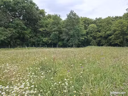 terrain à bâtir de 550 m² à saint-denis-de-pile (33)
