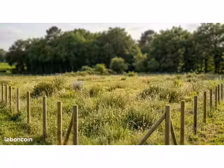 terrain 550 m² villandraut