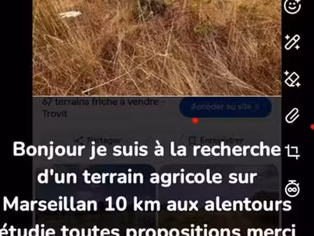 terrain agricole