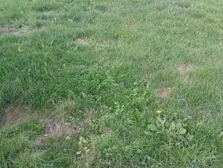 terrain constructible neuf à vendre