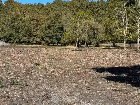 terrain 1000 m2