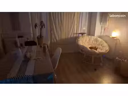 appartement plein centre rdc
