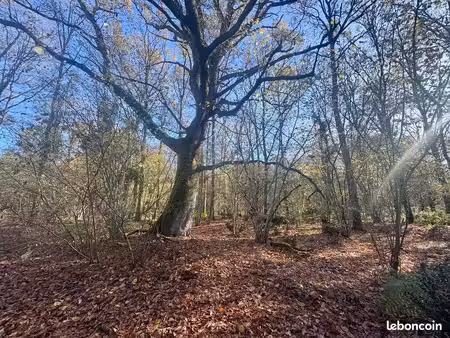 terrain 209500 m² la ferté-imbault