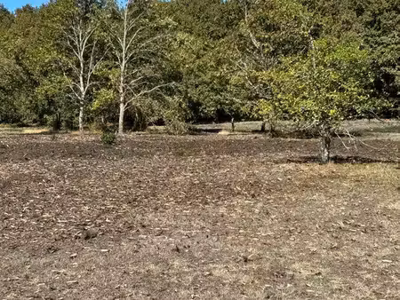 terrain 1500 m2
