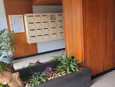 appartement 58 m2