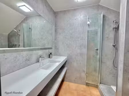 a vendre – deux studios renoves et communicants – jusqu’a 8 personnes – sainte-anne