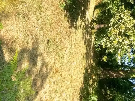 terrain constructible