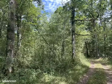 terrain 551889 m² pressigny-les-pins