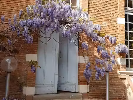 grand t1 bis – toulouse centre – jardins d’arcadie _ résidence sénior