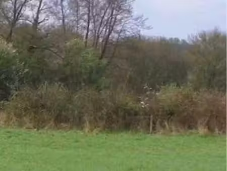terrain agricole