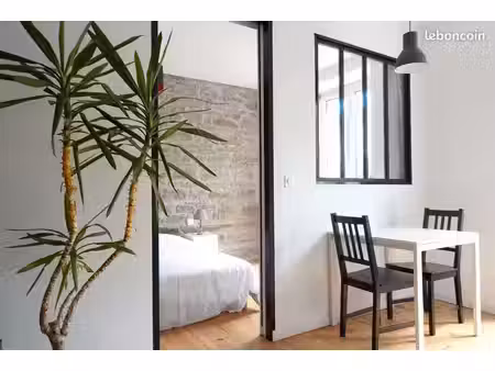 deux-pièces cosy entièrement rénové - lumineux & pierres apparentes