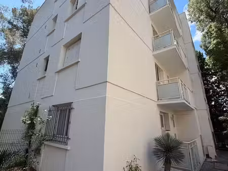 appartement centre castelnau-le-lez
