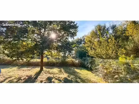 terrain 8100m² paisible en pleine forêt