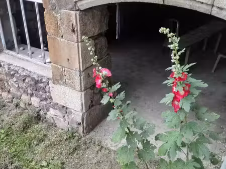 maison de village