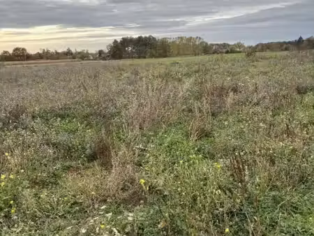 terrain 497 m² daumeray