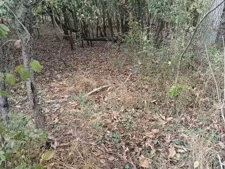terrain boiser environ 1000m