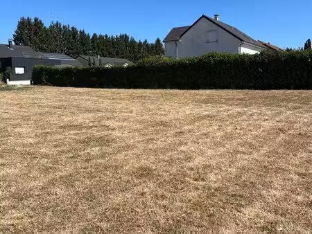 terrain constructible