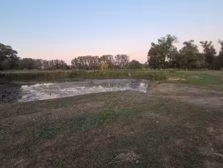 etang