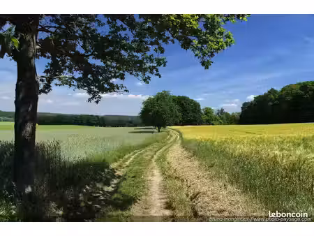 terrain à bâtir de 554 m² à ahuille (53)