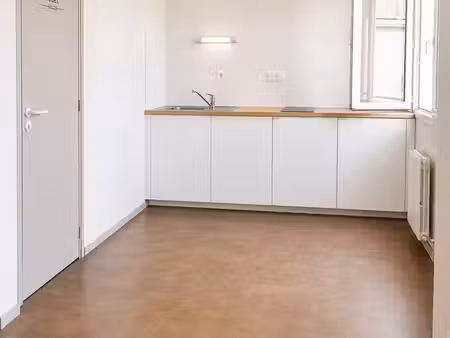 studio 1 pièce 20 m²