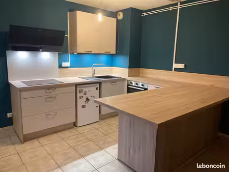 appartement nancy lobau 55m2