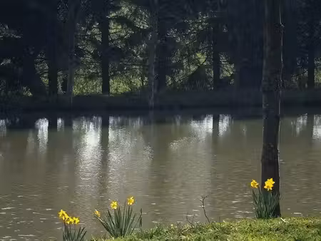 etang