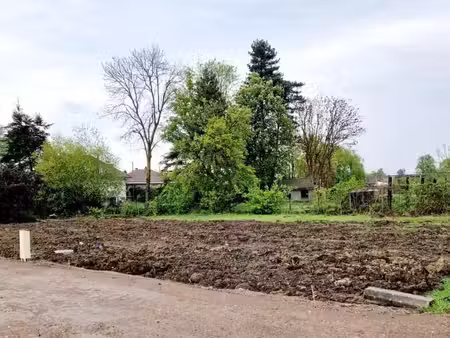 terrain 486 m² bailleul