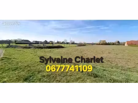 terrain 585 m² hantay