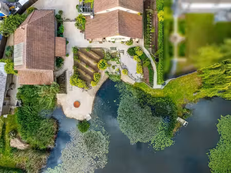 unieke villa met vijver en bijgebouw op 7.163m² in meulebeke