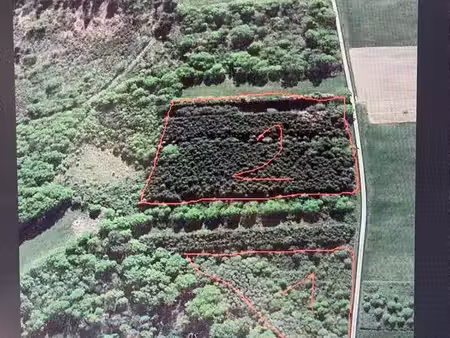 parcelles de lande bois et terre