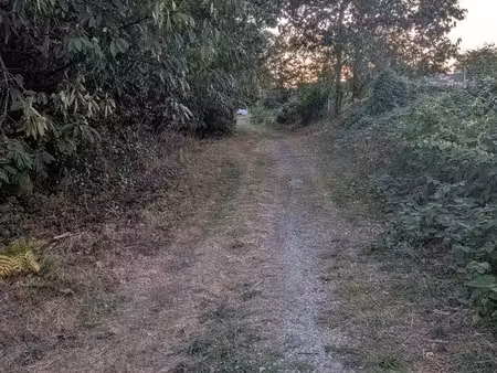 chemin