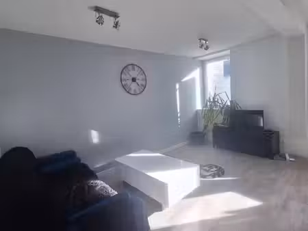 appartement 1 pièce 39 m²