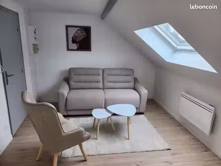 appartement rénové plein centre ville